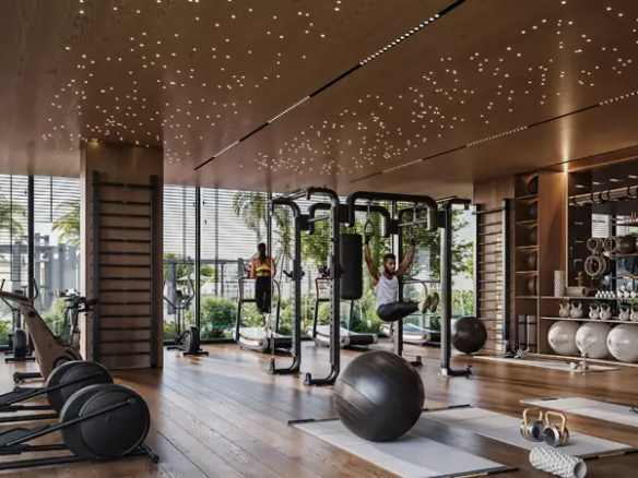 پروژه داماک دیستریک